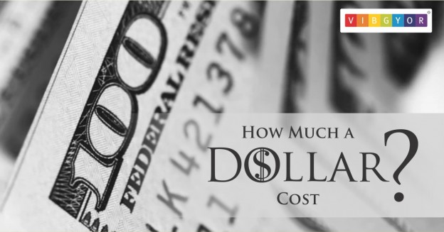 How Much a Dollar Cost
