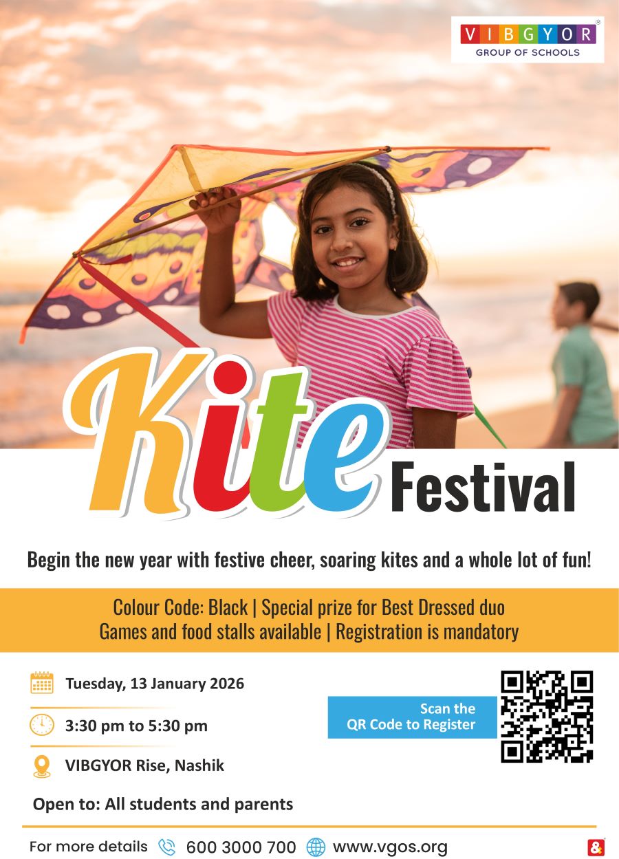 Kite Festival, Nashik artwork